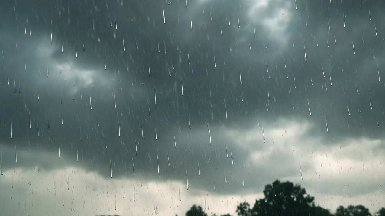 Wetter"
